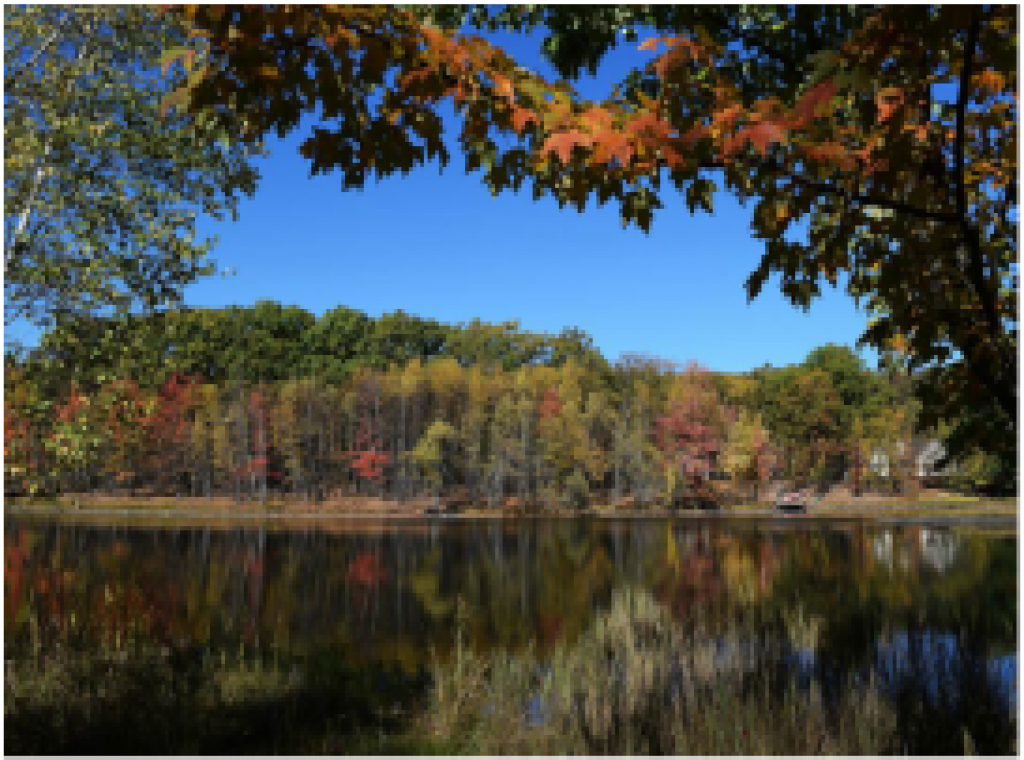 4 Bedrooms Bedrooms, ,2 BathroomsBathrooms,Villa,For Sale,1017