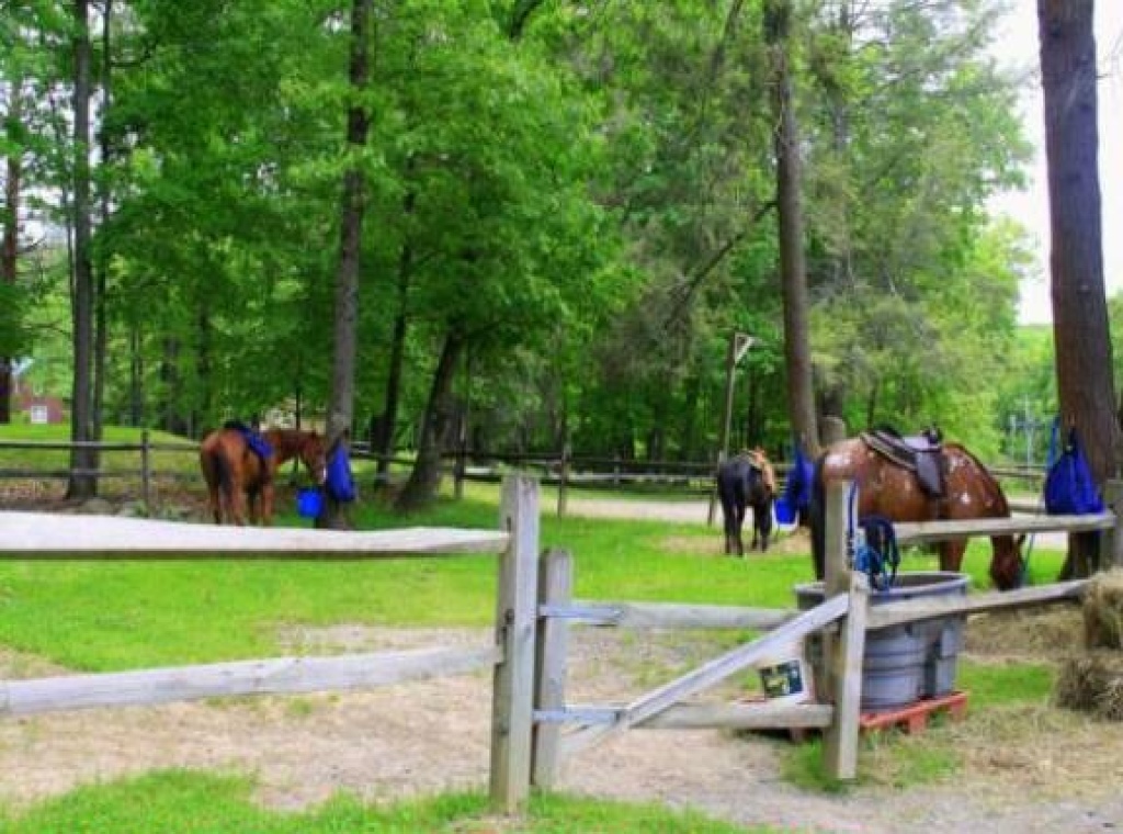 4 Bedrooms Bedrooms, ,2 BathroomsBathrooms,Villa,For Sale,1002