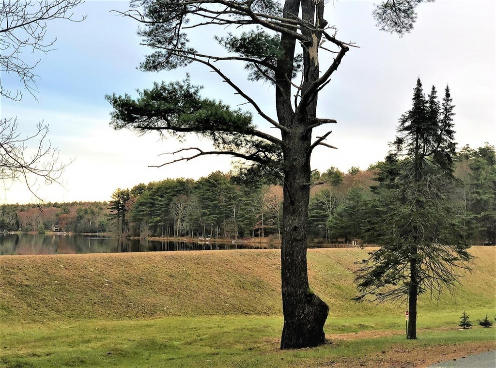 3 Bedrooms Bedrooms, ,2 BathroomsBathrooms,Villa,For Sale,1005